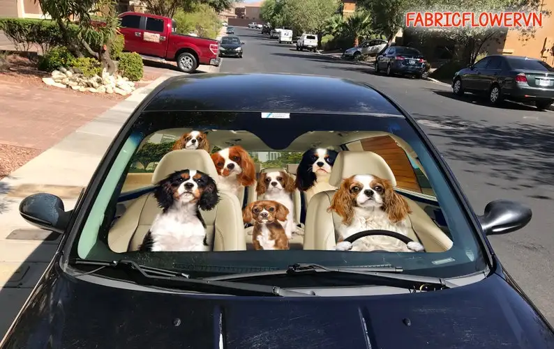 Cavalier King Charles Spaniel Car Sunshade, Dog Car Decoration, Dog Windshield, Dog Lover Gift, Dog Car Sunshade, Gift For Mom,