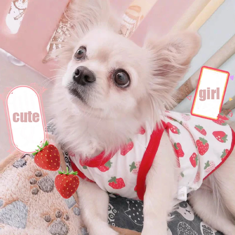 Summer Dog Vest Cute Cartoon Print Breathable Thin T-Shirt for Small Medium Dog Fashion Chihuahua Yorkshire Vest Pet Clothes