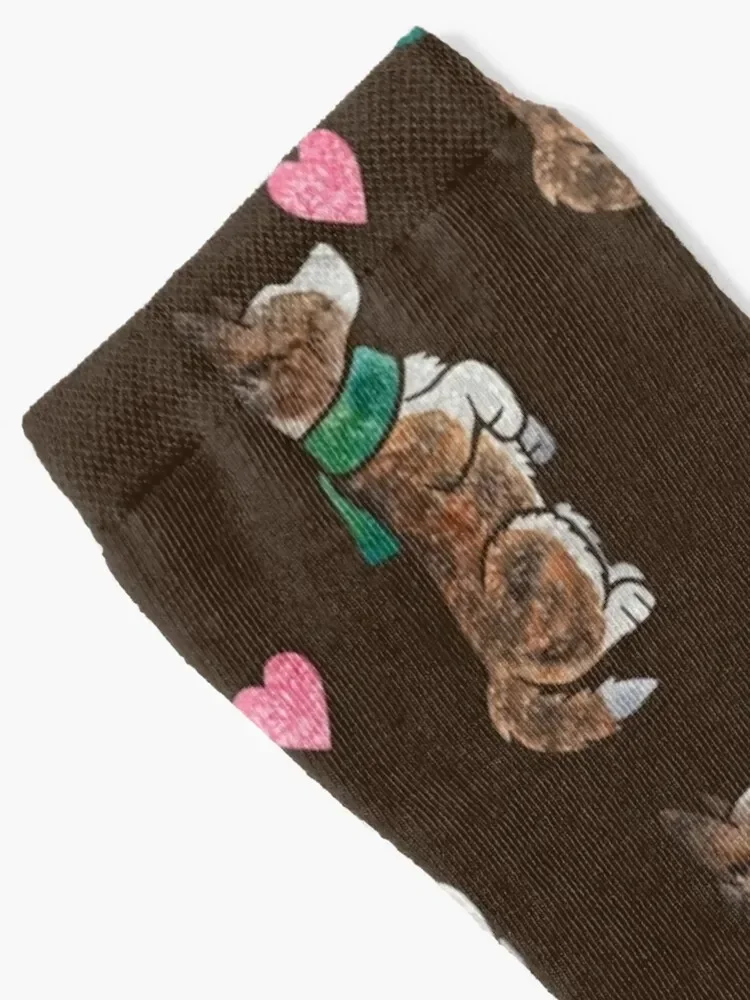 Watercolour Cardigan Welsh Corgi (brindle) Socks cotton basketball luxe Socks Men Women's