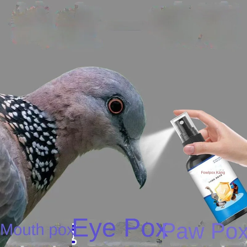 100ml de paloma, pollo, pato, ganso, paloma, tumor de paloma, espinillas en las esquinas de la boca, párpados, garras y alas