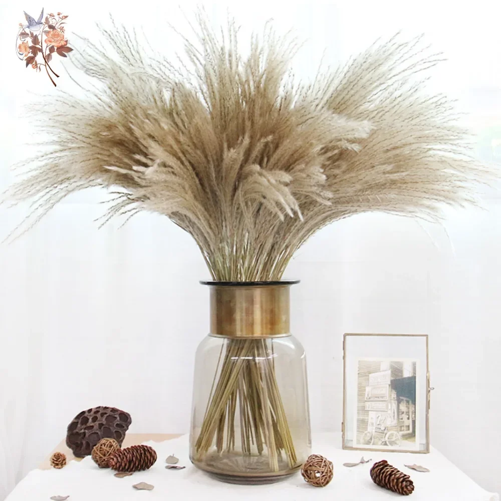 30Pcs Natural Dried Flowers Small Reed Bouquet Wedding Party Decoration Real Pampas Grass Home Artificial Plant  Decor Supplies