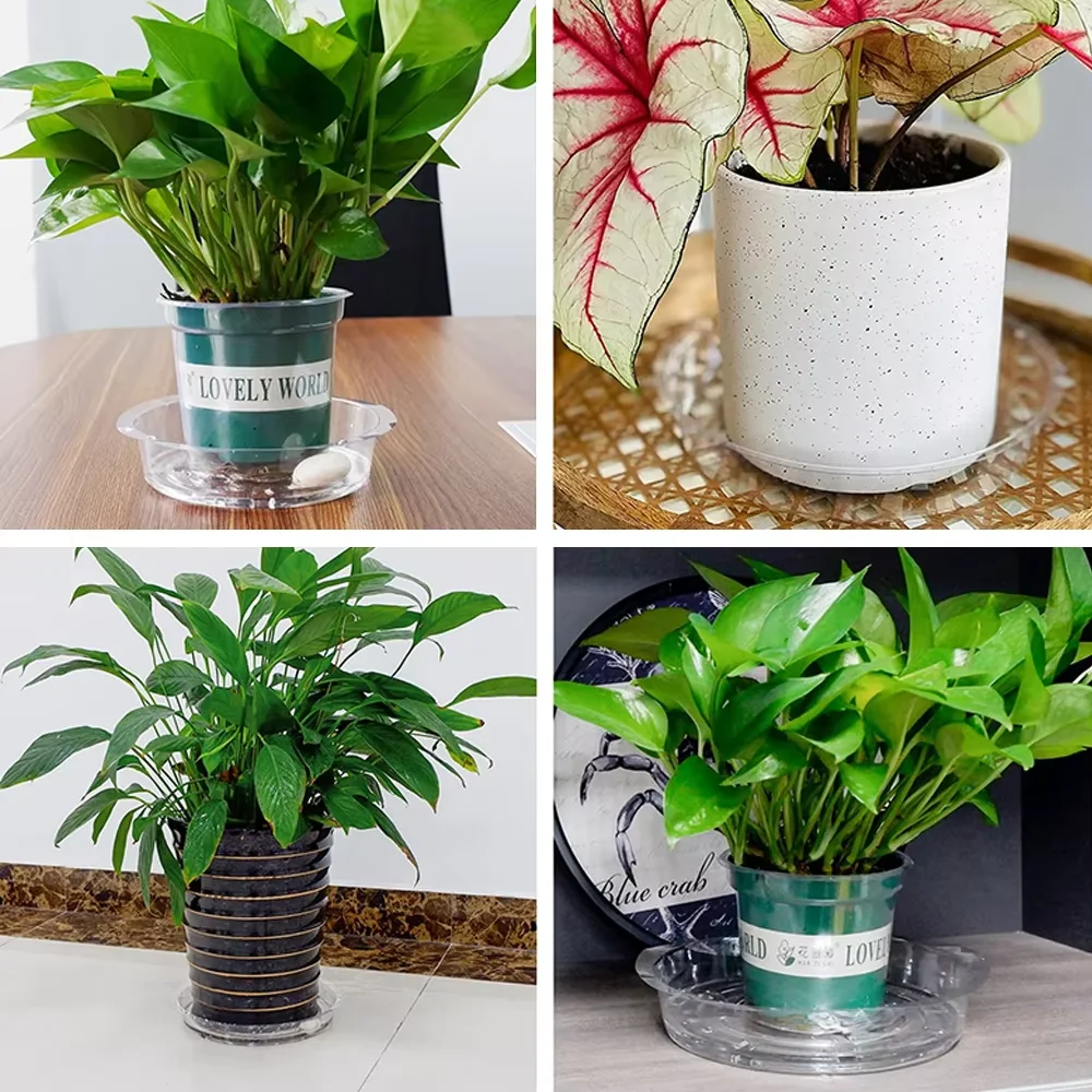 قاعدة وعاء النباتات البستانية الشفافة المضادة للانزلاق وعاء منزلي دائري مقاوم للماء تخزين المياه البلاستيكية وصمة عار #6