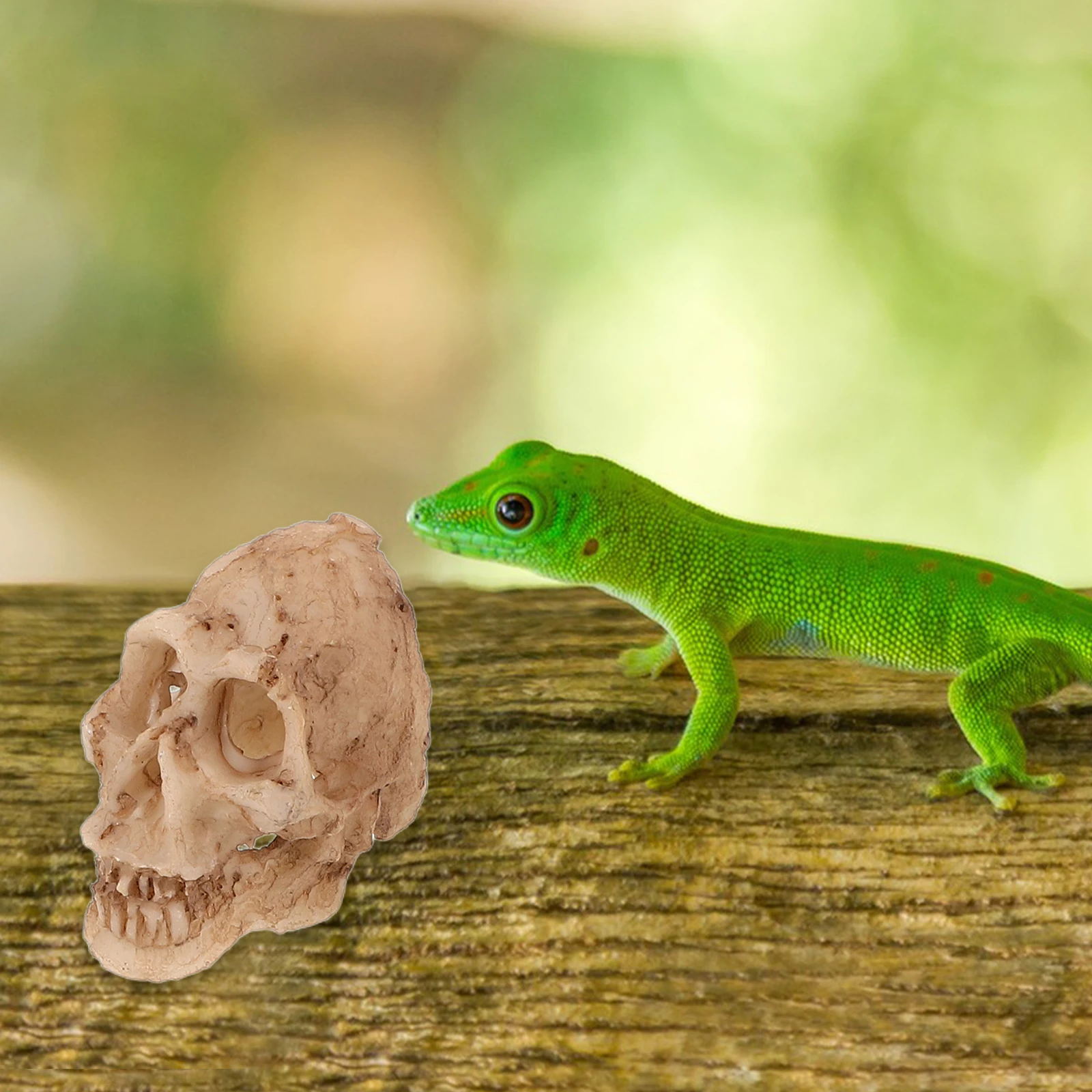 

4pcs Skull Ornaments Terrarium Decor Reptile Hide Shelter Cave Resin Hideout Aquarium Fish Tank Adornment Pet Supplies