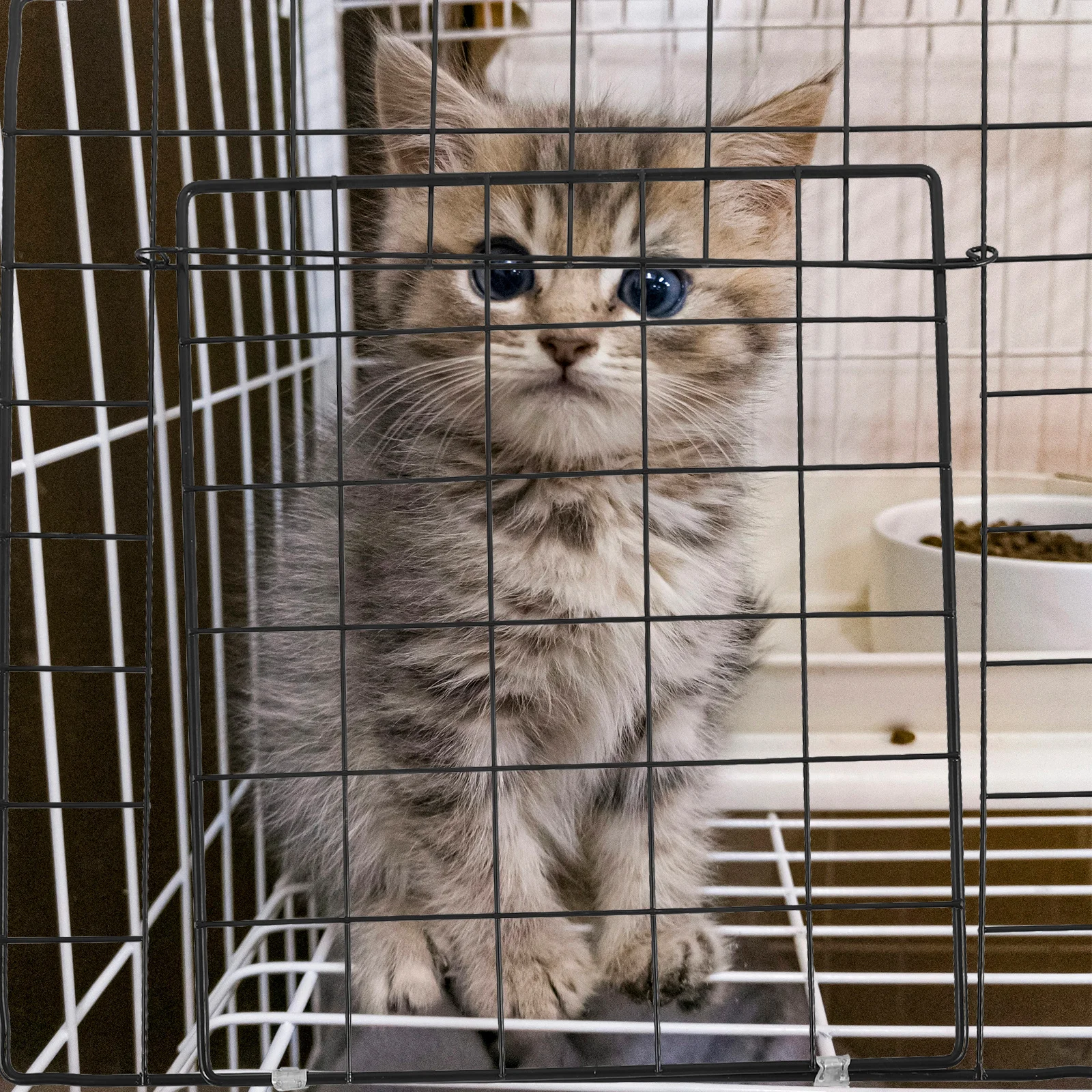 

Assemble Dog Cage Door Playing Sheet Pet Puppy Cage Door Iron Break Resistance Practical Texture DIY Supplies