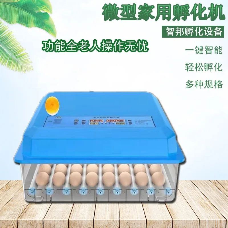 

56 Eggs High Hatching Rate Automatic Mini Egg Incubator for Hatching Eggs