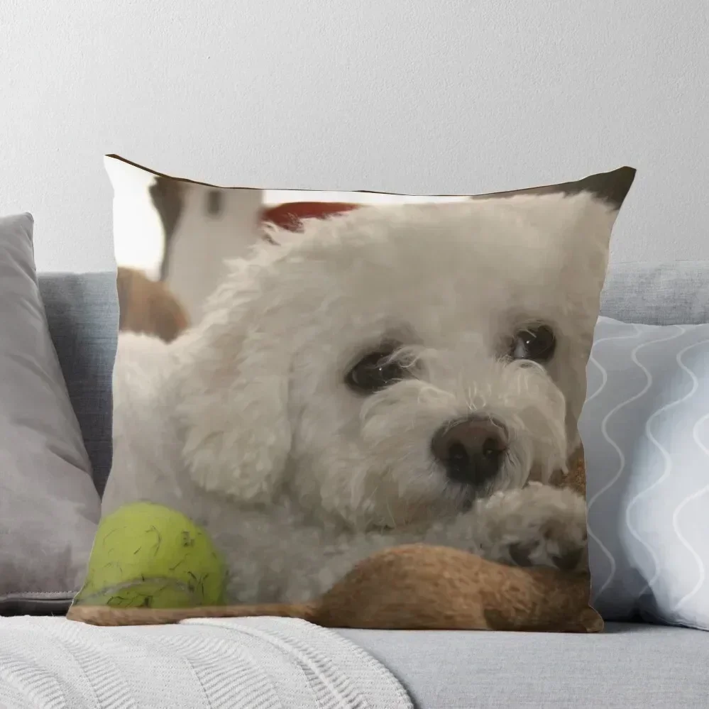 

Bored Bichon Throw Pillow Bed pillowcases Decorative Sofa Cushion Cushions Cover Covers For Sofas pillow