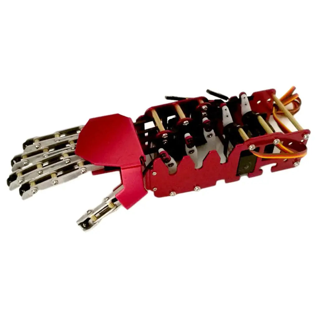 

Mechanical Robot Arm Alloy Red Right Hand Precision Servo Industrial Manipulator for Educational Robotics
