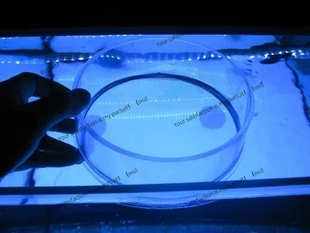 Aquarium Coral Viewer, Marine Resources Suitable for Aquarium Coral Monitoring and Photography Top View Camera