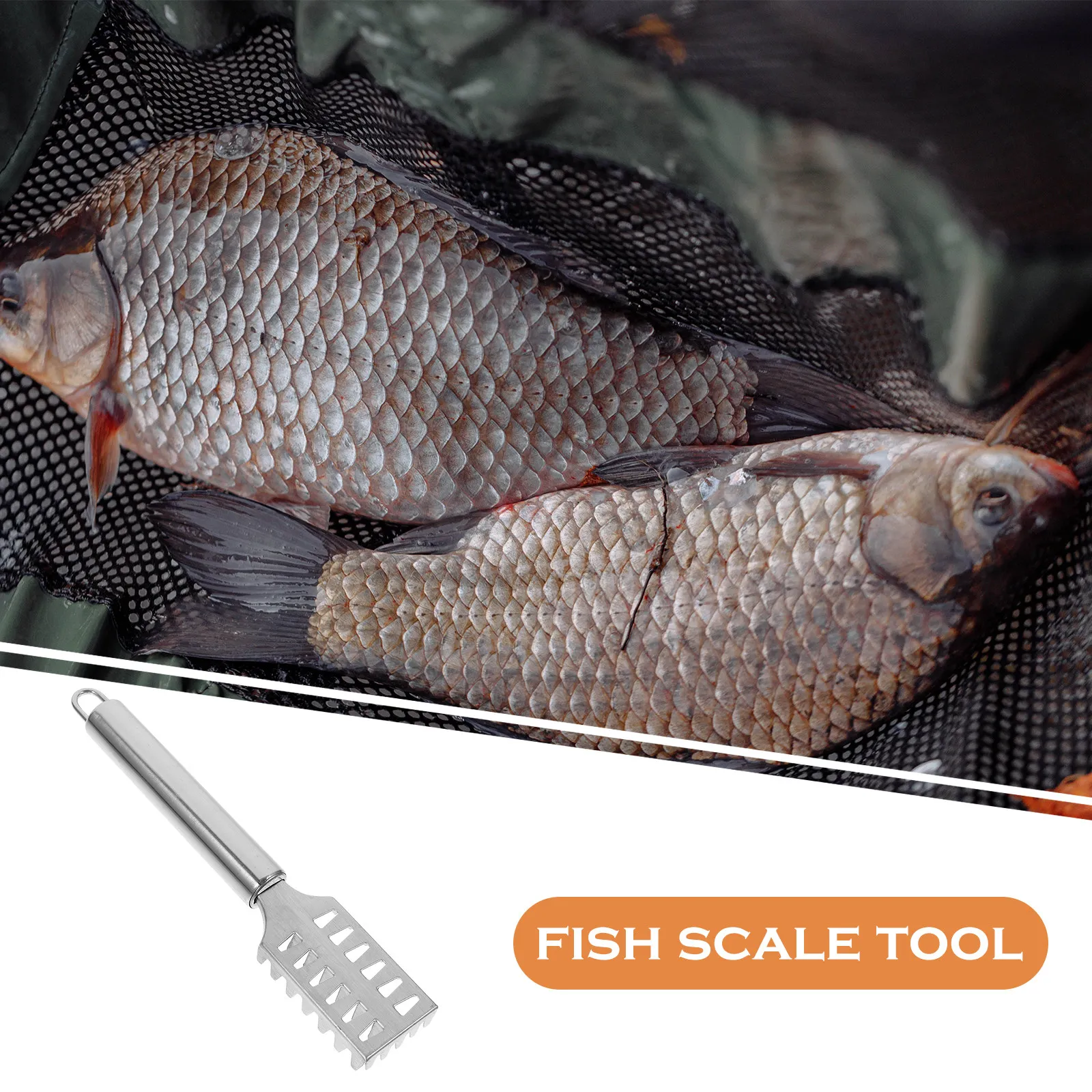 Fish Scale Scraper Stainless Steel Remover Ergonomic Non-Slip Handle Fish Skin Cleaner with Collection Lid