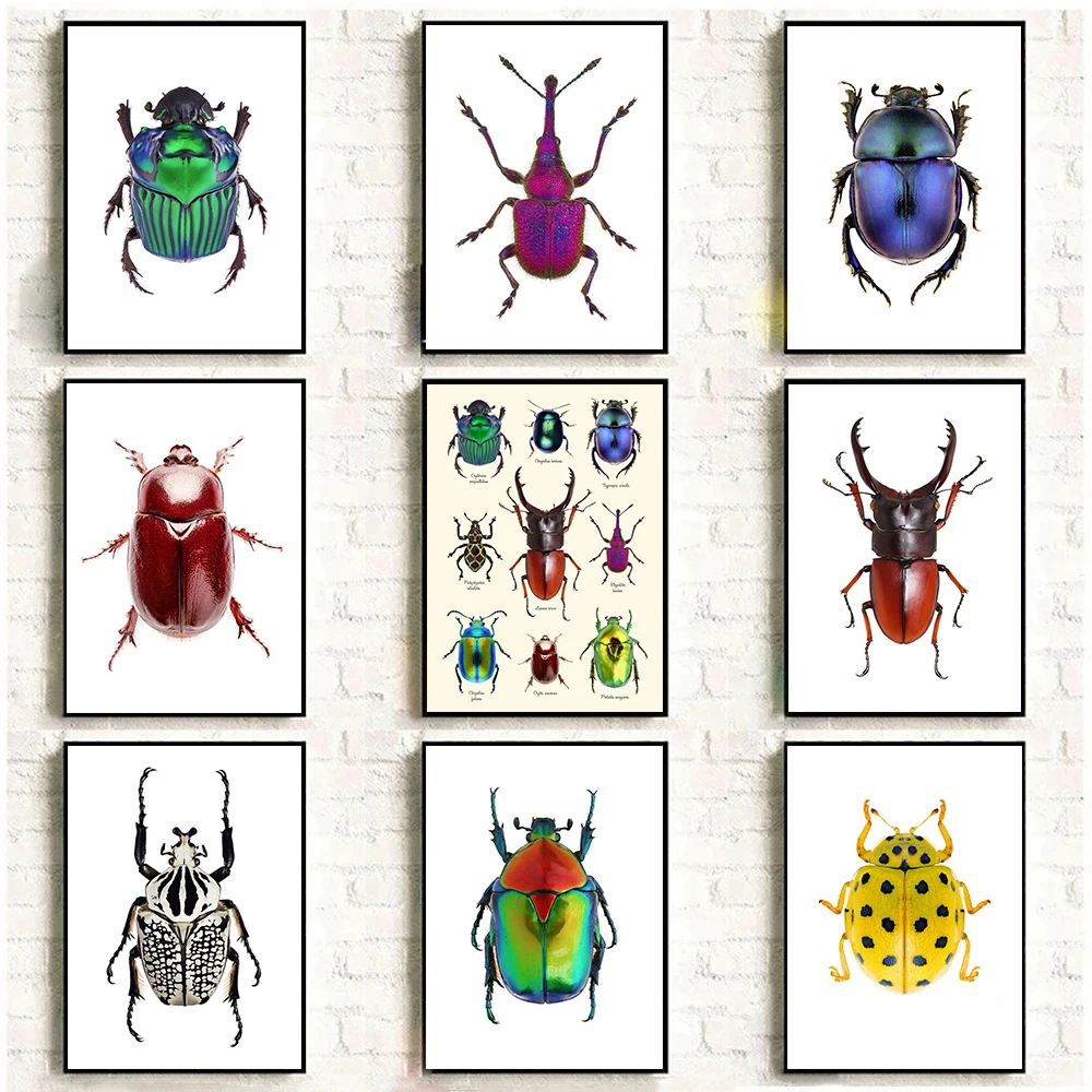 Classic Abstract Beetle Insect Specimen Insect Art Retro Posters Prints Canvas Painting Wall Art Picture Living Room Home Dec