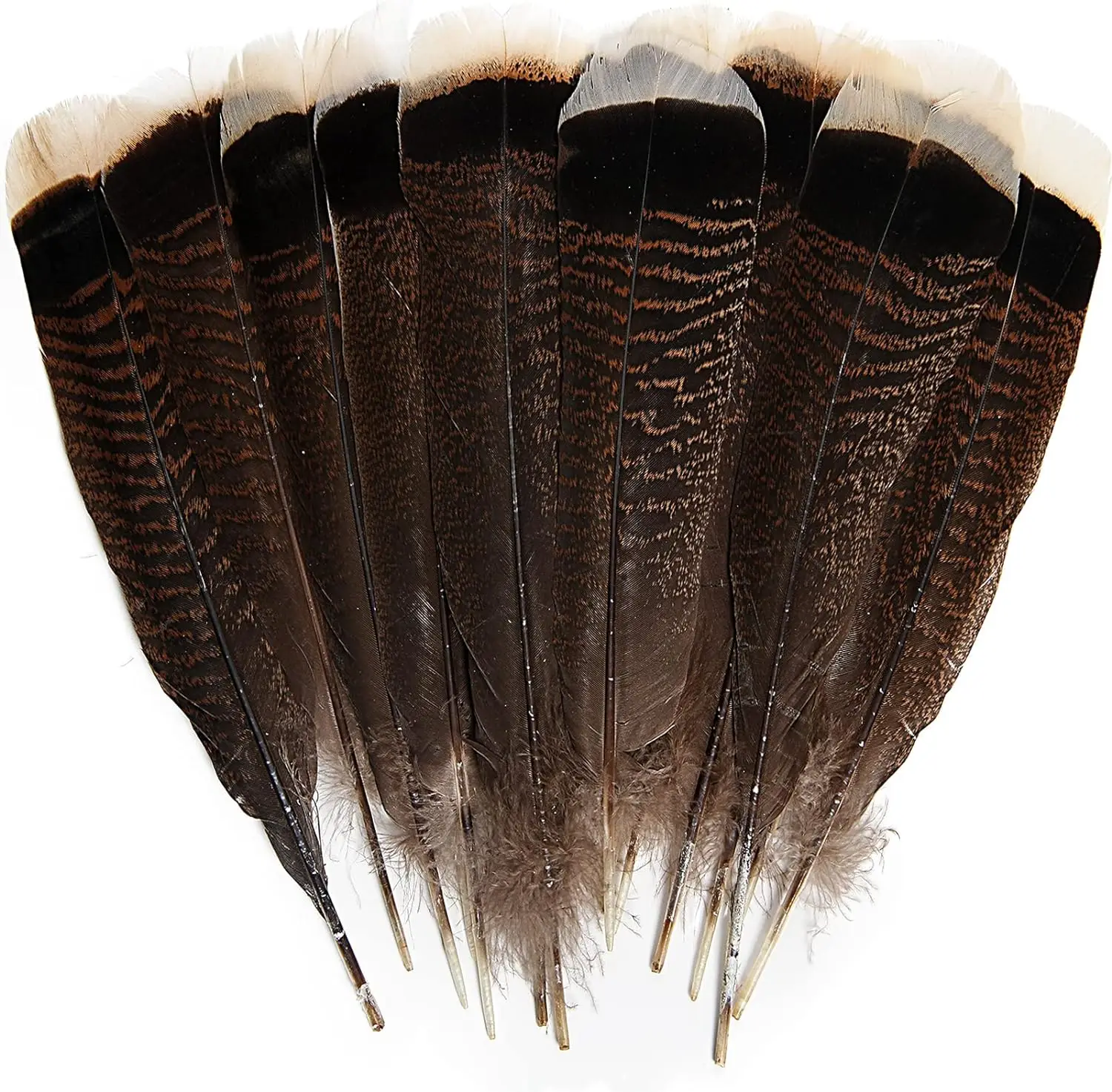 

50pcs Natural Wild Turkey Tails Feathers Quill Bulk 6-12inch 15-35cm DIY Crafts Traditional Festival Party Clothing Decoration