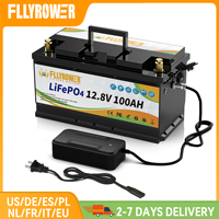 12V 100Ah LiFePo4 Battery Pack For 4S 100A BMS RV Boat Motors Inverter Solar Powerlar Wind 12.8V Lithium Iron Phosphate Battery