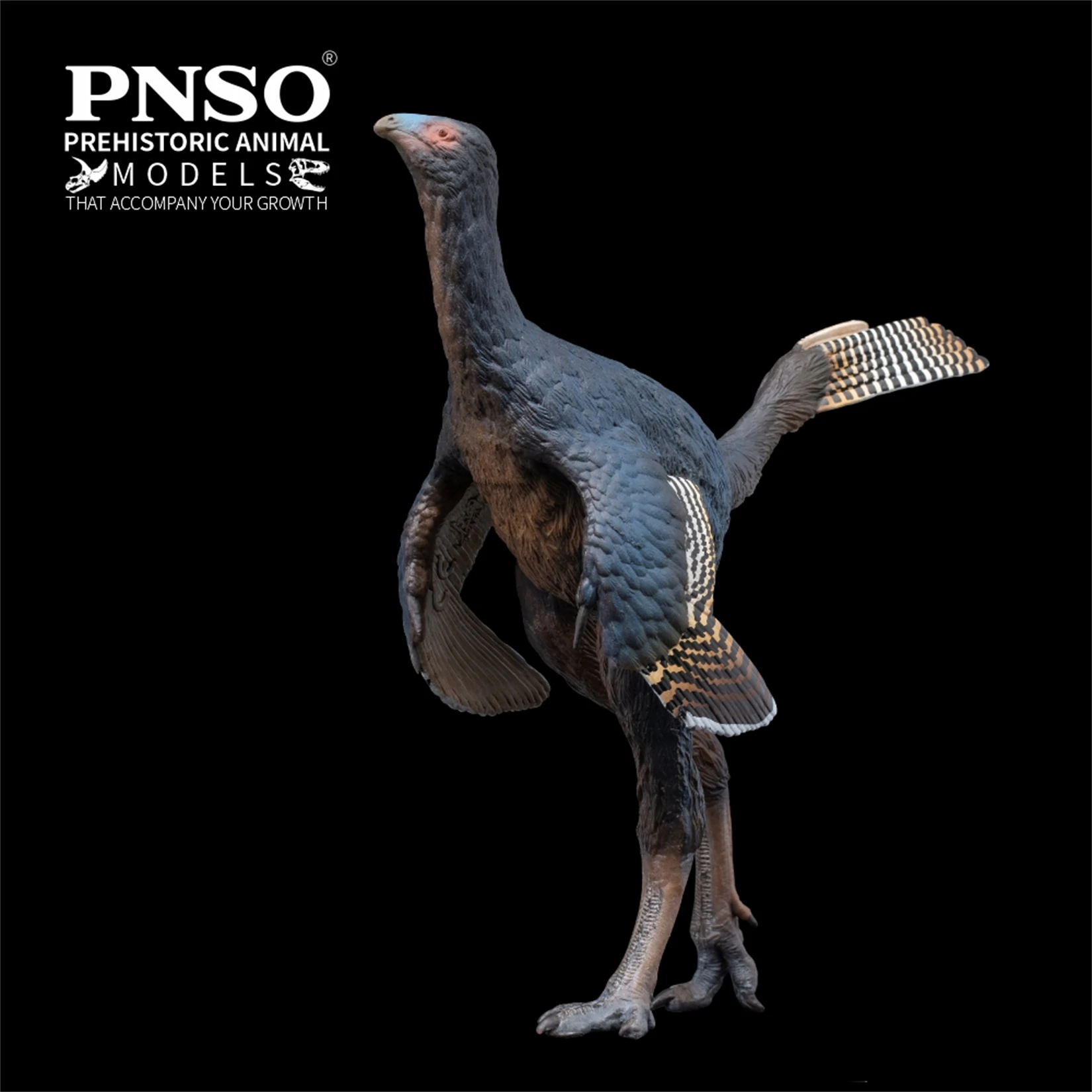 PNSO Caudipteryx 93 Model Dinozaura Prehistorycznego Kolekcjonerski Edukacja Naukowa Figurka Zwierzęcia Zabawki dla Dorosłych Dekoracja Prezent