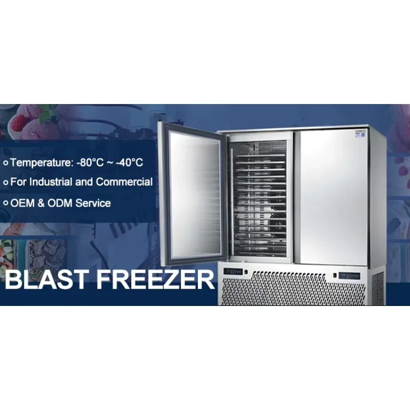 

Wholesale Compressor Tray Fast Freezing Machine Blast Freezer Chiller Stainless Steel Rapid Cooling Down To -40 Degrees Celsius
