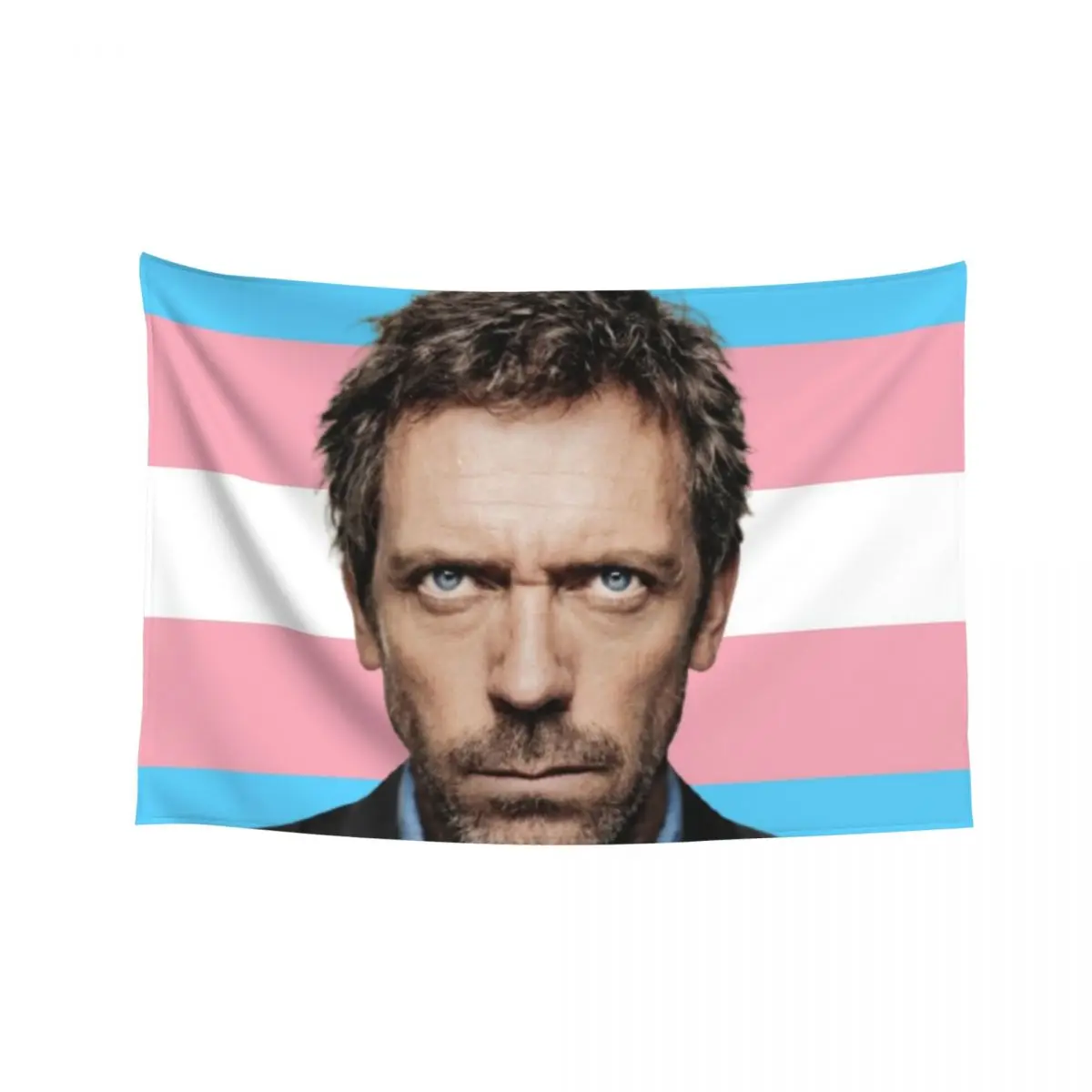 

dr gregory house trans pride Tapestry Aesthetic Room Decors Wall Decor Room Decor Aesthetic Tapestry