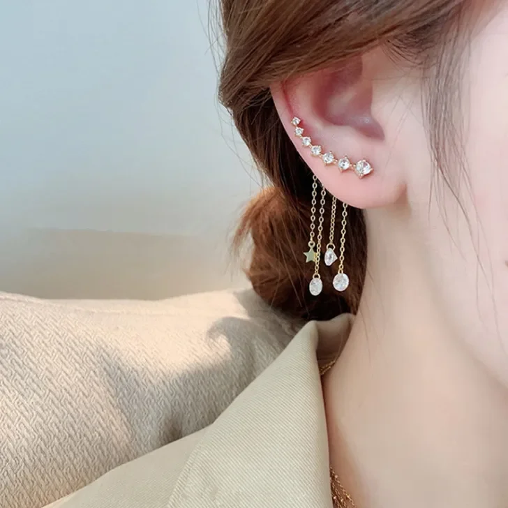 Tassel Earrings South Korean Temperament High Sense of Temperament Earrings In 2022 New