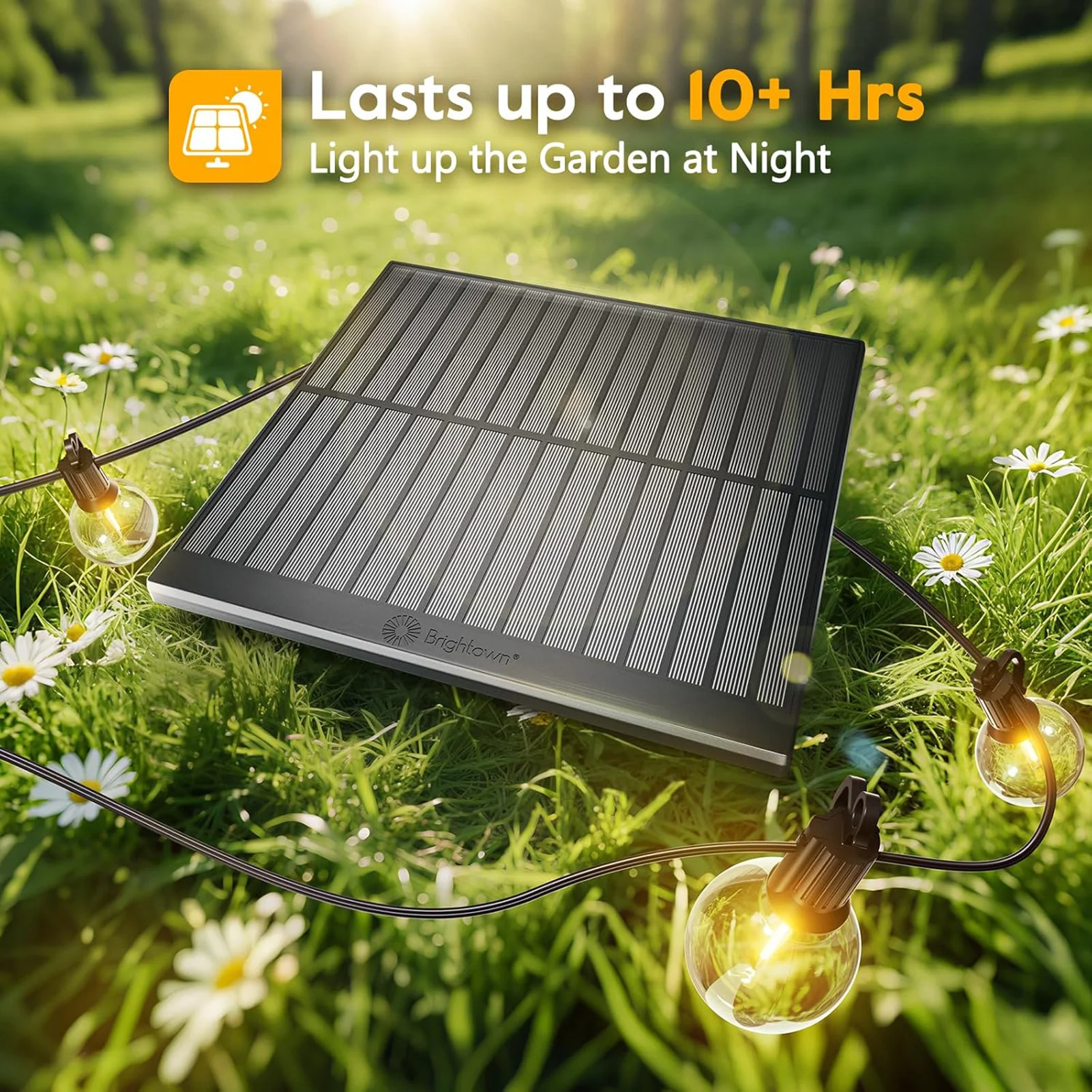 ไฟ LED สำหรับตกแต่งกลางแจ้ง 50/100 ฟุต แบบกันน้ำ สำหรับสวนและลานบ้าน รุ่นเสียบปลั๊ก ให้แสงไฟสร้างบรรยากาศ