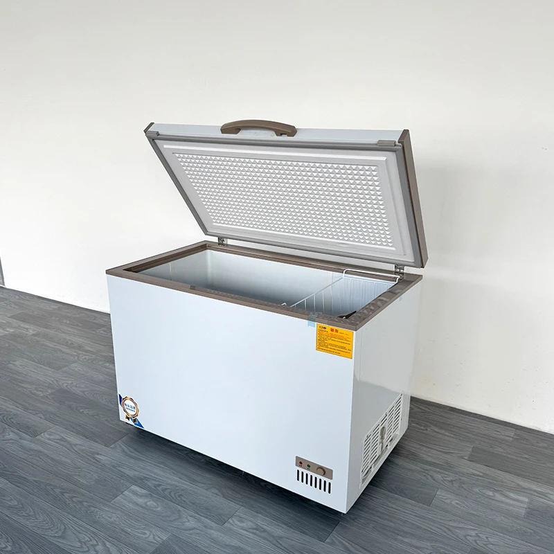 Equipo de refrigeración Congelador horizontal Equipo de refrigeración Congelador horizontal comercial Vertical