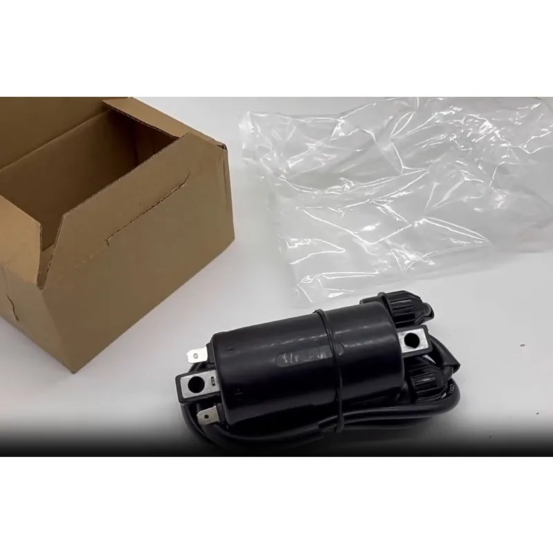 Motorcycle Ignition Coil High-voltage Package Suitable For CB400/650 GL1200 Ignition Coil Motorcycle Modification Accessories