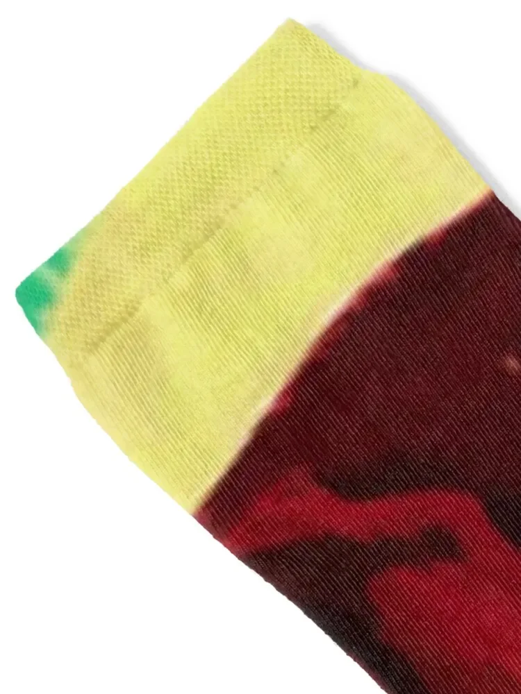 ديفيد هوكني 1995 المعرض الأصلي 'الكلب 43' ملصق ملصق الجوارب سعيد أنيمي تسلق الجوارب للرجل المرأة