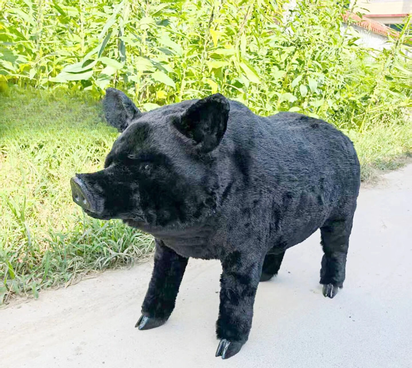 Realistic Wild Boar Model with Life-like Details | Educational Specimen for Classroom Teaching, Exhibition Display