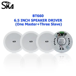 6 Inch Sound box SURPASS Audio Stereo Full Range Dustproof Mobile Iphone Connectable Bluetooth speakers for Bathroom Hotel Store