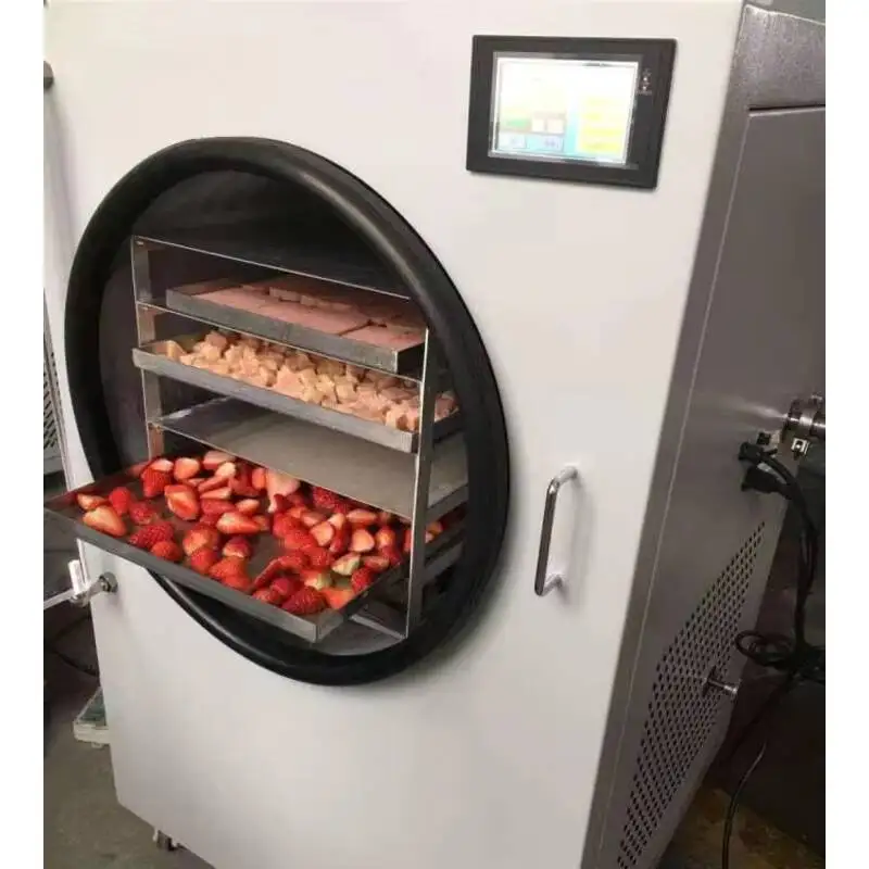 

Industrial Vacuum Frozen Food Cool Cooling Fruit Laboratory Sublimation Drying Freeze Dryer Machine On Cold Equipment