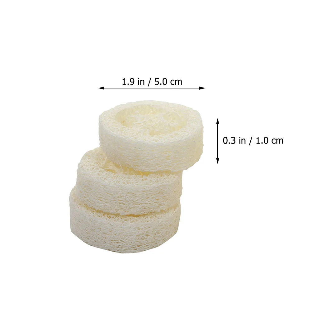 5 Pcs Bath Wipe Brush Loofah Cuts Soap Base Foam Holder Pad Natural Dish Washing Sponge Tray