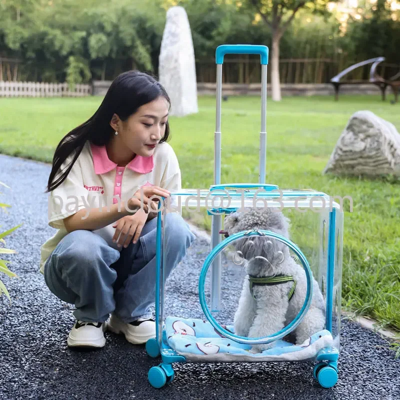 Capacity Transparent Pet Trolley Bag Bubble Pet Travel Carrier on Wheels Hot Sale Outdoor Cat Dog Travel Luggage Suitcase Large