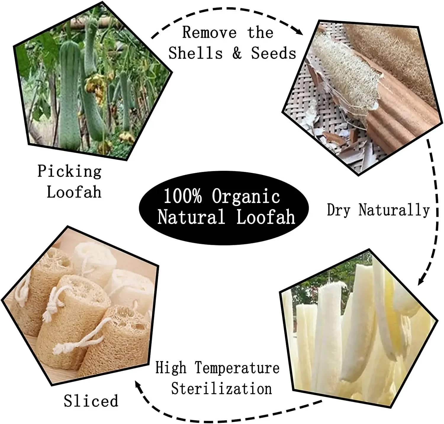 100% Natural Loofah Exfoliating Body Sponge Loofah  Scrubber for Bath Skin Care In Bath Spa Shower Wholesale Body Bath Brush