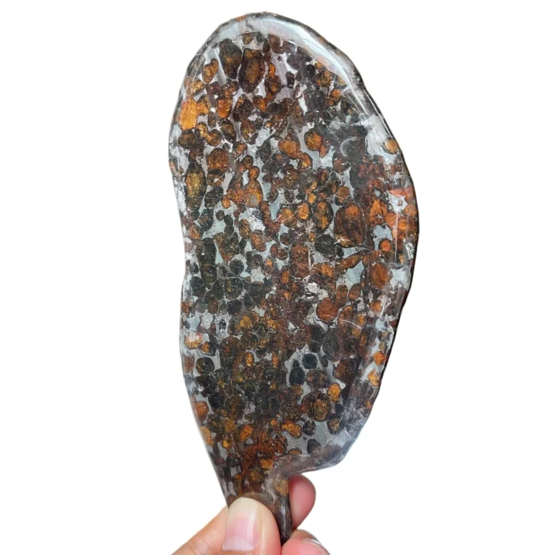 Sericho Pallasite Meteorite Slice Kenya Polished Natural Irregular Shape Olivine Pallasite Slab  For Collectible Gift QA895
