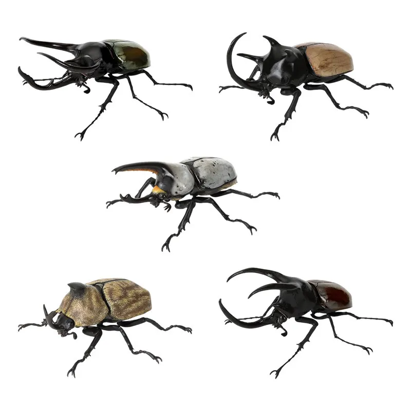 Image of Bandai Gashapon Käfer-Insektenmodell mit 10 beweglichen Gelenken, realistische Desktop-Dekoration, Ornament, Chalcosoma Chiron, Dynastes Grantii