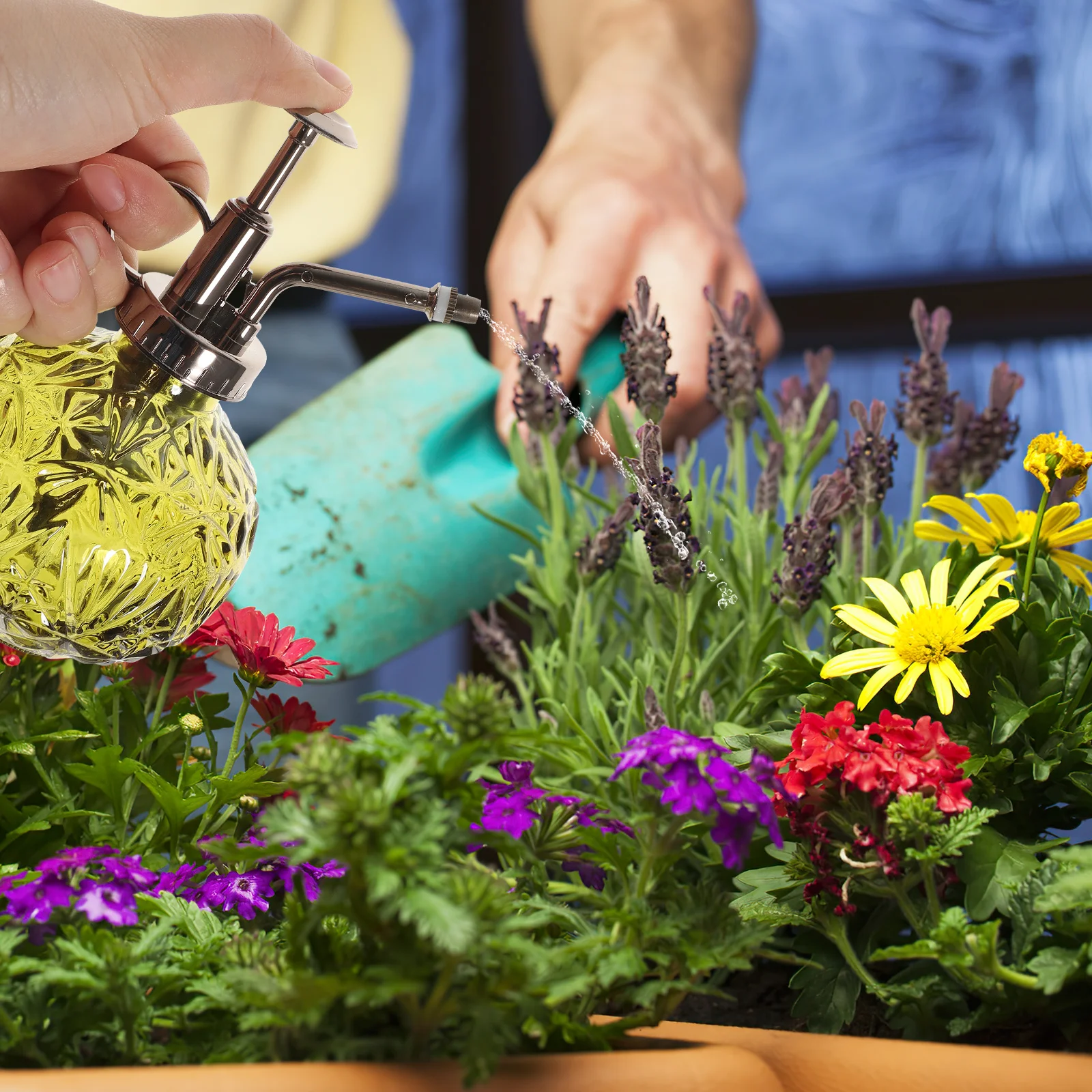 

Plant Water Dispenser for Indoor Plants Watering Pot Bottle Can Garden Spray Sprayer