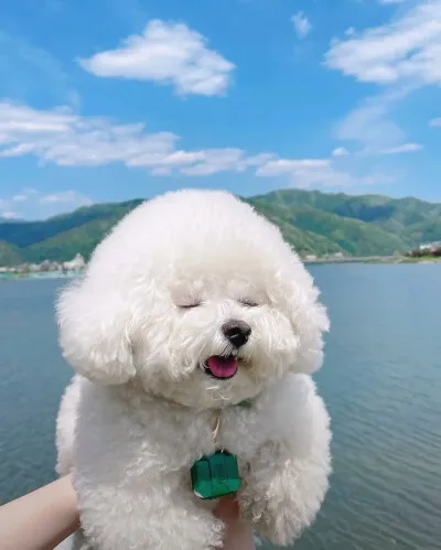 

Металлическая балка шасси из нержавеющей стали MJX Hyper Go H12Y H12Y+ H12P, боковая рама, детали для тюнинга радиоуправляемых машин, аксессуары