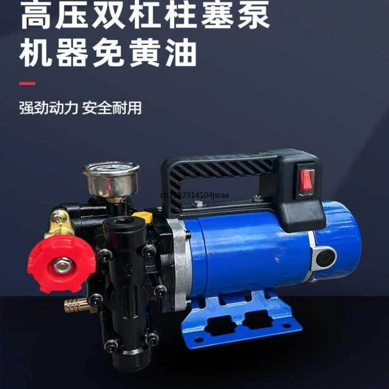 Agricultural high pressure double cylinder plunger dispenser pump portable 12v24v48v60v220v fruit tree electric spray