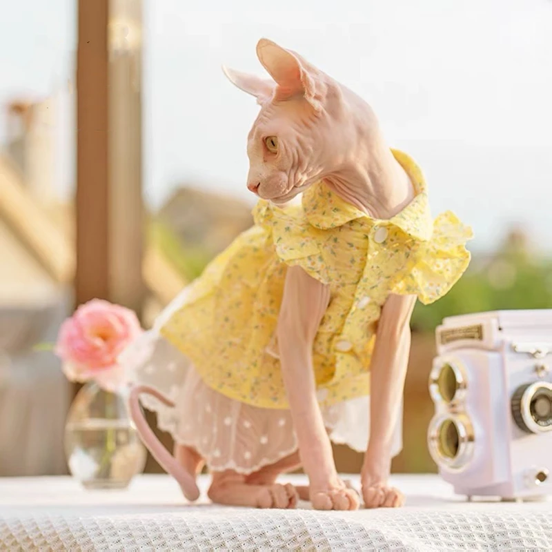 Sphinx Pet Cat Princess Clothes Black Dresses For Sphynx Lace Floral Kitten Suspender Skirt Elegant Costume Devon Spring Summer