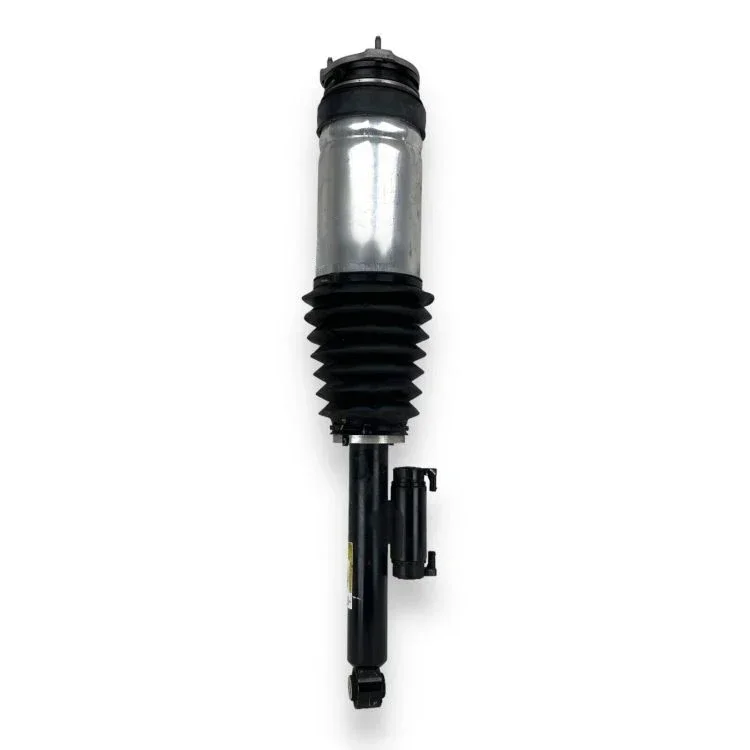 

LUFT MEISTER Auto Rear Air Suspension Strut 1027067-00-C 1027067-00-D Auto Parts for Tesla Model X 2020-2022 4WD