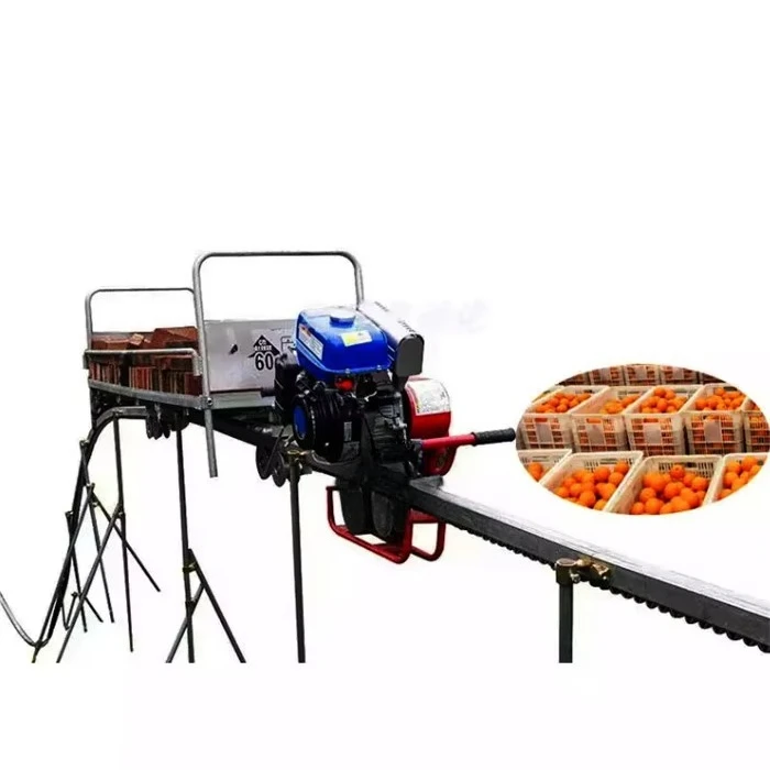 

Agricultural Mountain Orchard Tea Garden Single Rail Transport Rail Car Monorail Transporter