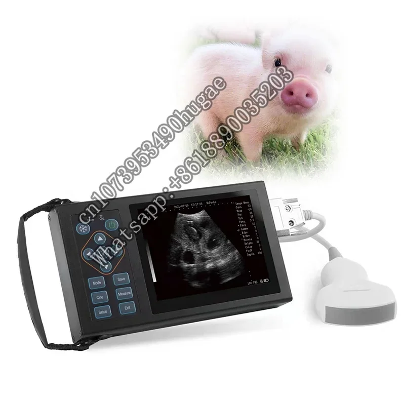 

Zetop Medical Portable Ultrasound Probe Instruments Veterinary Handheld Physiotherapy Therapy Machine