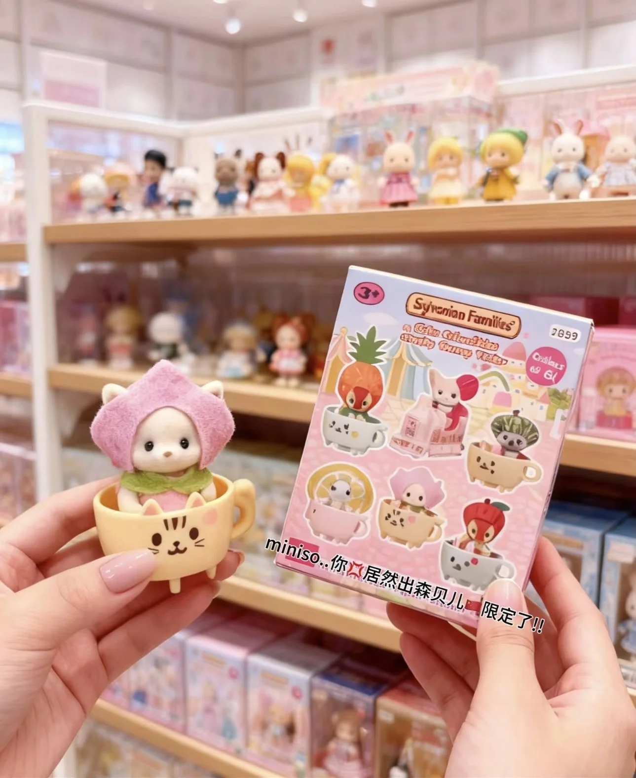 Nuovo autentico Sylvanian Families Piccolo treno Milo Max Cakebread Barboncino Fai finta di giocare Sylvanian Famiglia Mobili Giocattoli Regalo Giocattolo