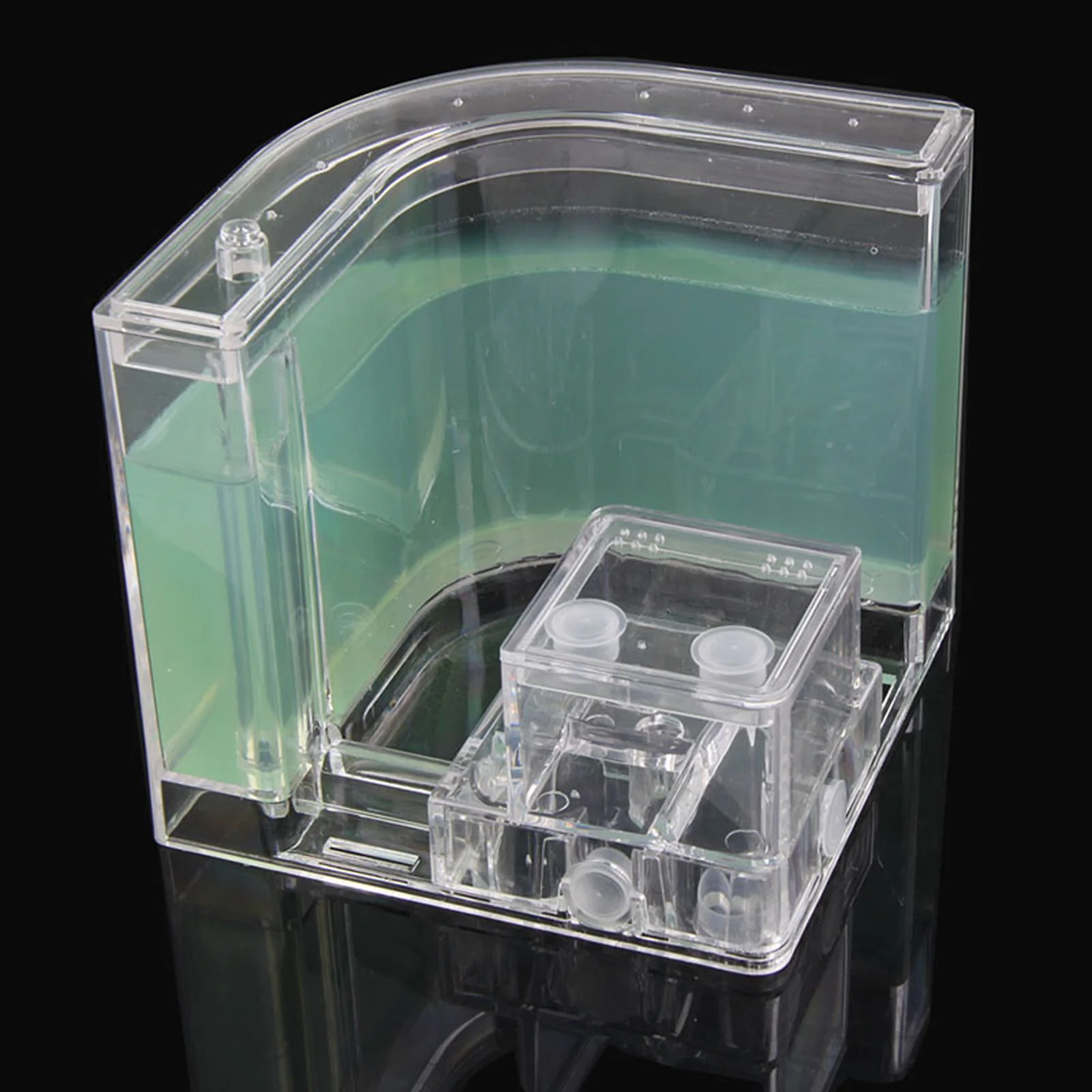 Live Feeding System  Maze Educational & Learning Science Kit Toy for Study of Social Structure