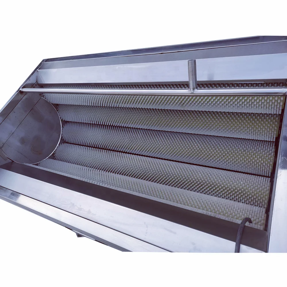 

Electric brush, sugar cane type, taro, cassava, ginger, carrot and potato washing, peeling machine/roller cleaning and peeling