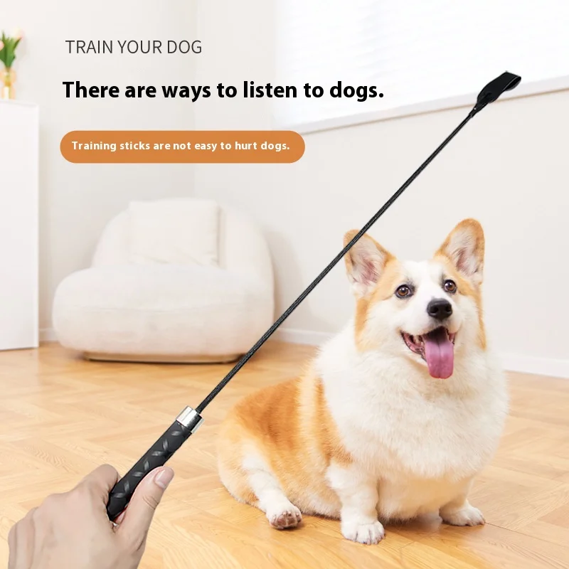 

Pet Training Dog Whip Leather Patting Head Does Not Hurt Dog Training Dog Supplies To Hit Training Supplies