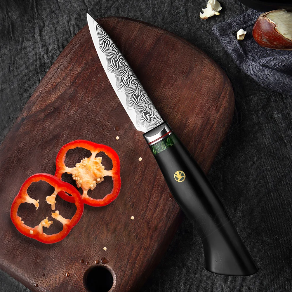 3.5 Inch Paring Knife 67 Layers Damascus VG10 Steel Sharp Peeling Fruit Barbecue Kitchen Knife Ebony Wood Handle Cooking Tools