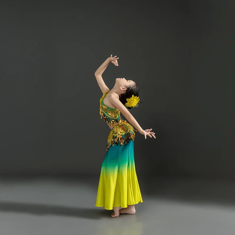 The New Dai Dance Performance Dress Wraps The Buttocks and Gradually Changes The Fishtail Practice Skirt for Girls