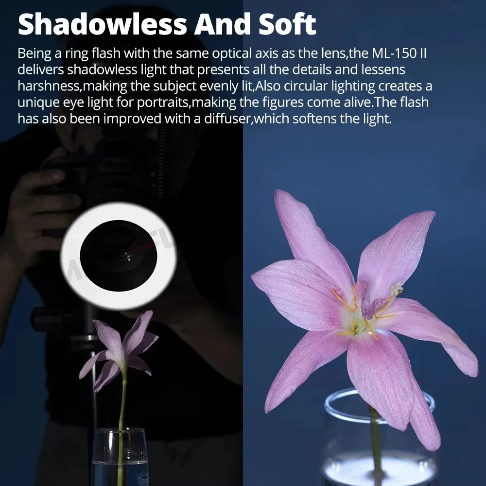 Thumbnail 2 - #13 Best Camera Flash Lights to Buy In 2026