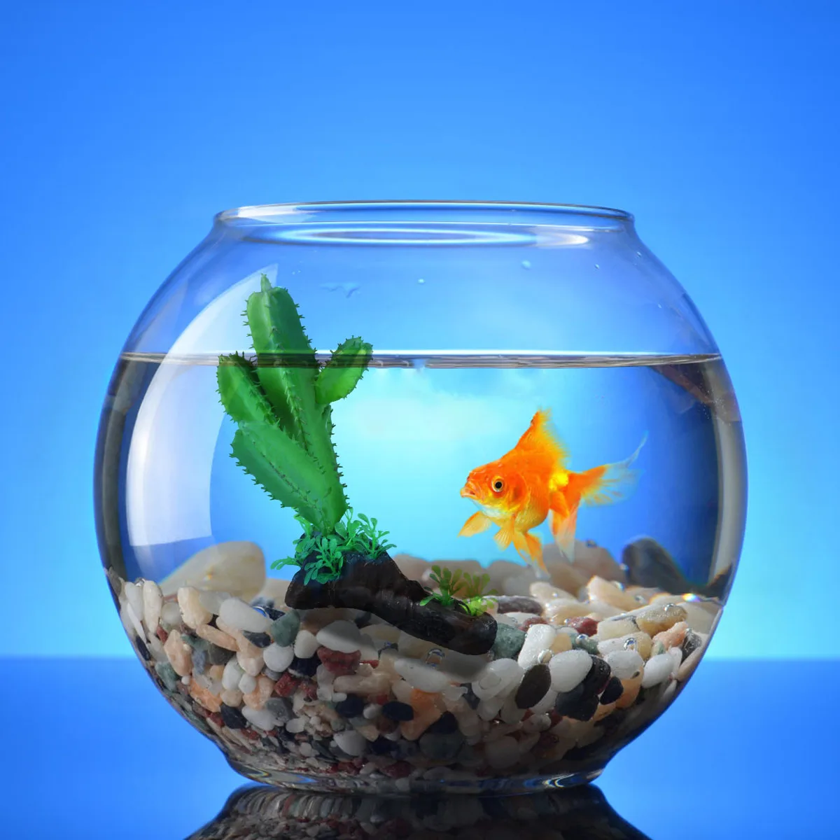 

Artificial Cactus Plants Bright Green for Fish Tank Aquarium Decoration Easy Install Non Fading Plant Ornament Medium Tank Pet