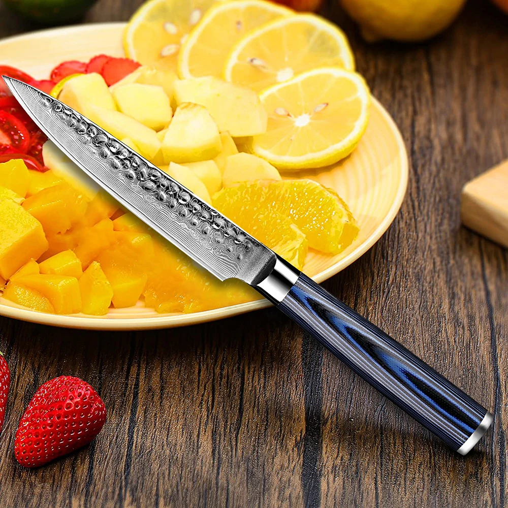 Kitchen Utility Knife Damascus Steel Super Sharp Kitchen Knives for Slicing Chopping Non-stick Blade and Anti-rusting Forged