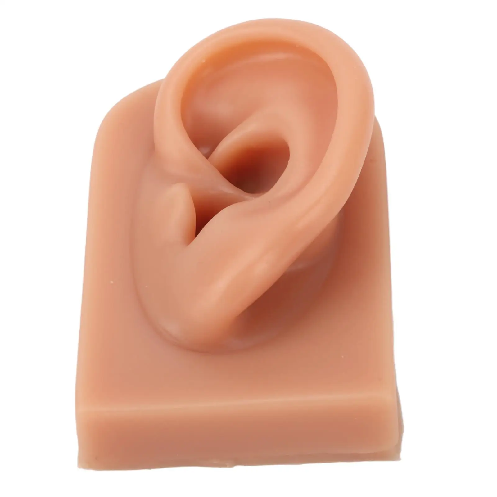 نموذج أذن سيليكون مرن ثلاثي الأبعاد لمتجر المجوهرات، أداة ممارسة الأذن الناعمة القابلة لإعادة الاستخدام للمبتدئين