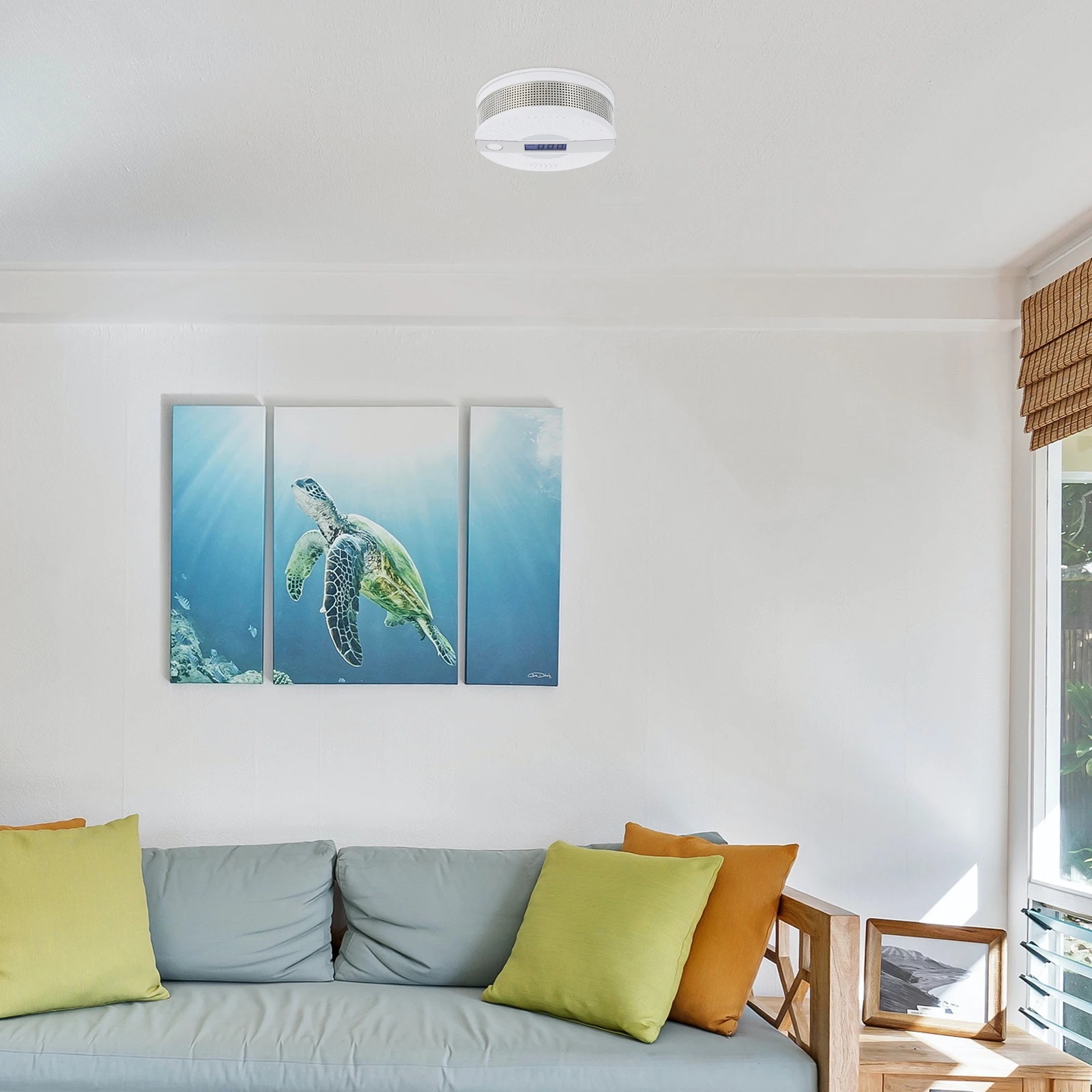 

Carbon Monoxide Home Burning Alert High Decibel Voice Alarm Compact Safety Alarm